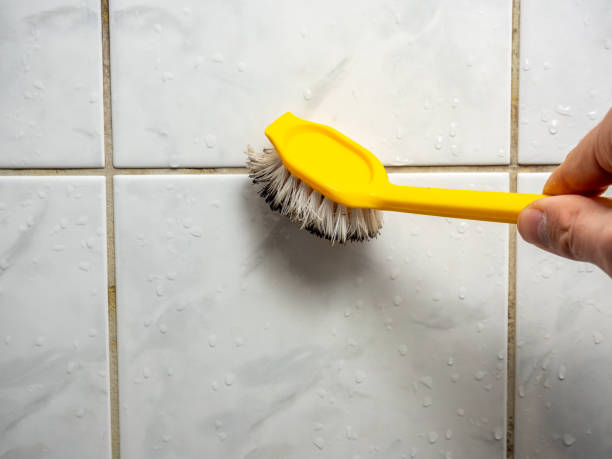 Best Toxic Mold Removal  in Arkansas City, KS