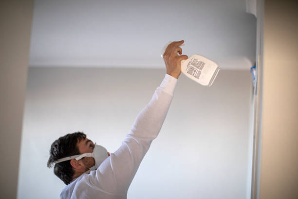 Professional Mold Removal in Arkansas City, KS