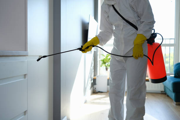 Best Local Mold Removal Service  in Arkansas City, KS